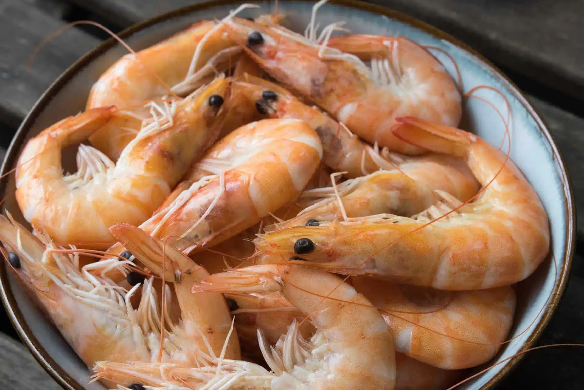 Actualización de un abogado de salmonella