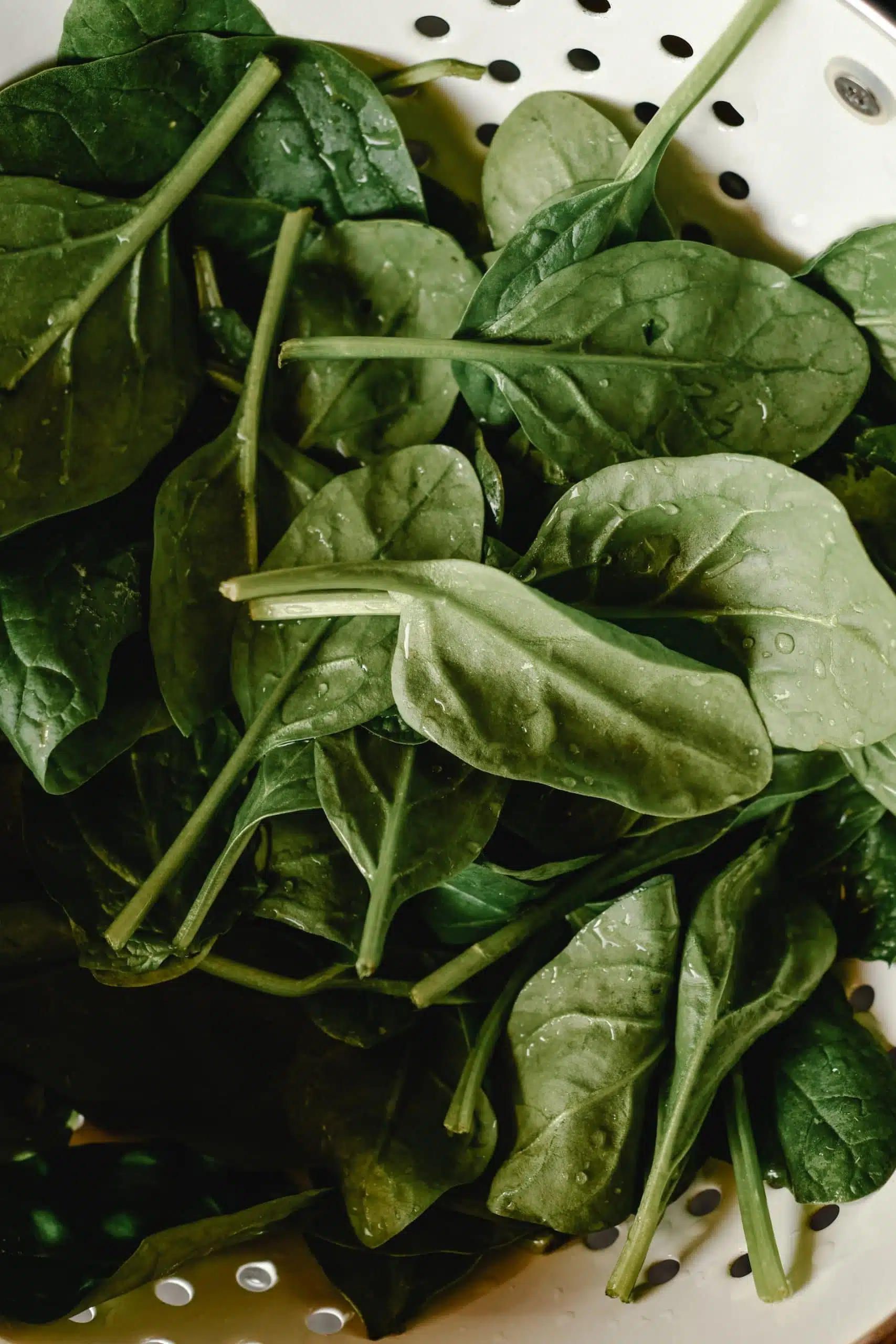 Josie’s Organics Baby Spinach E. coli Lawyer Update