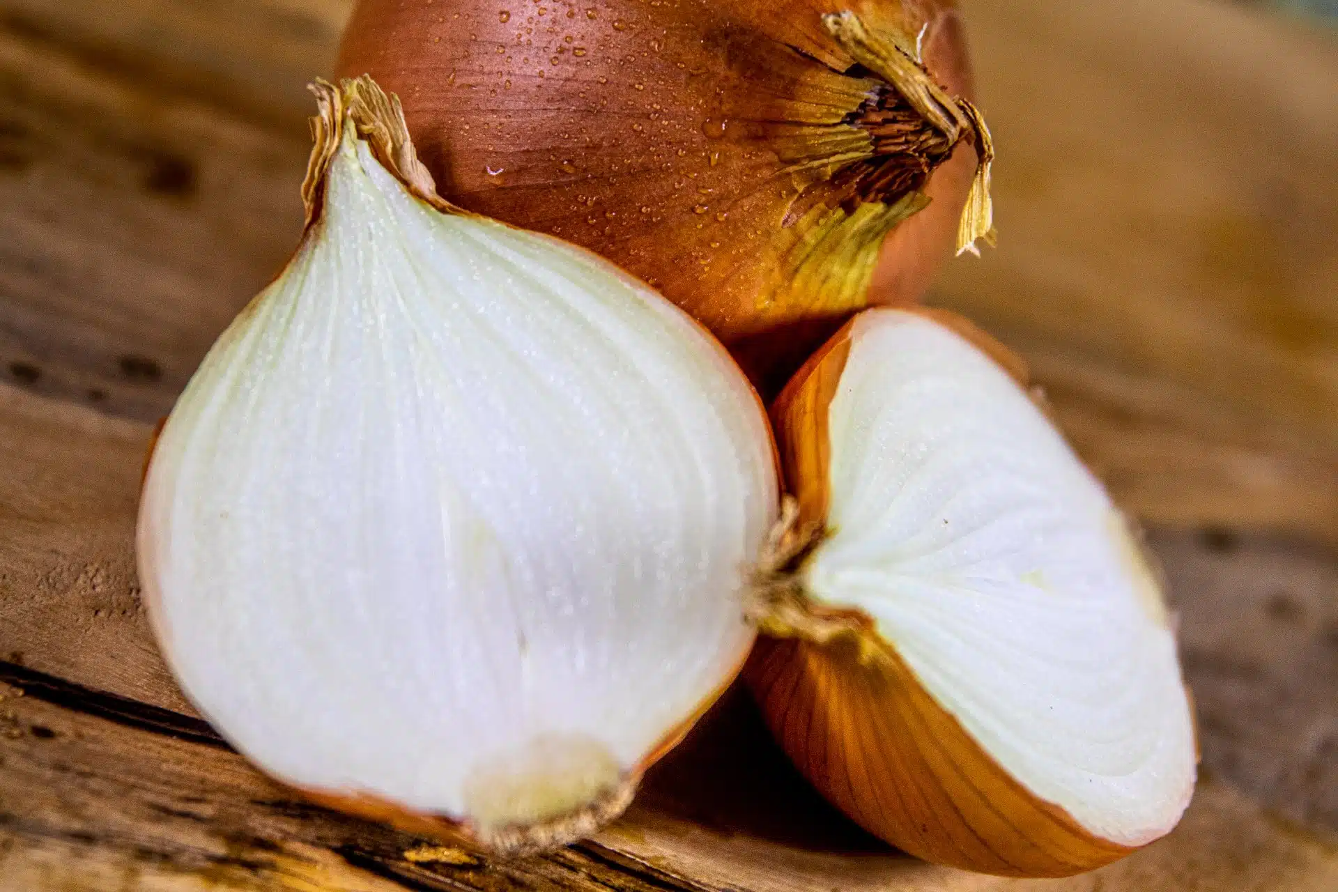 Salmonella Oranienburg Outbreak Sickens Nearly 900 Cases