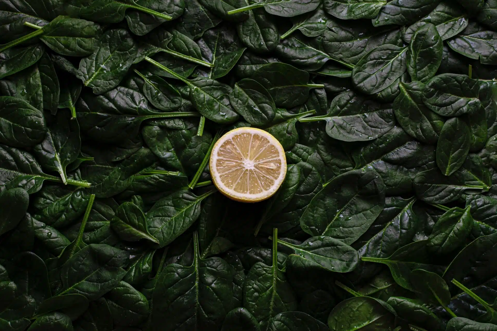 Actualización de un abogado de Listeria