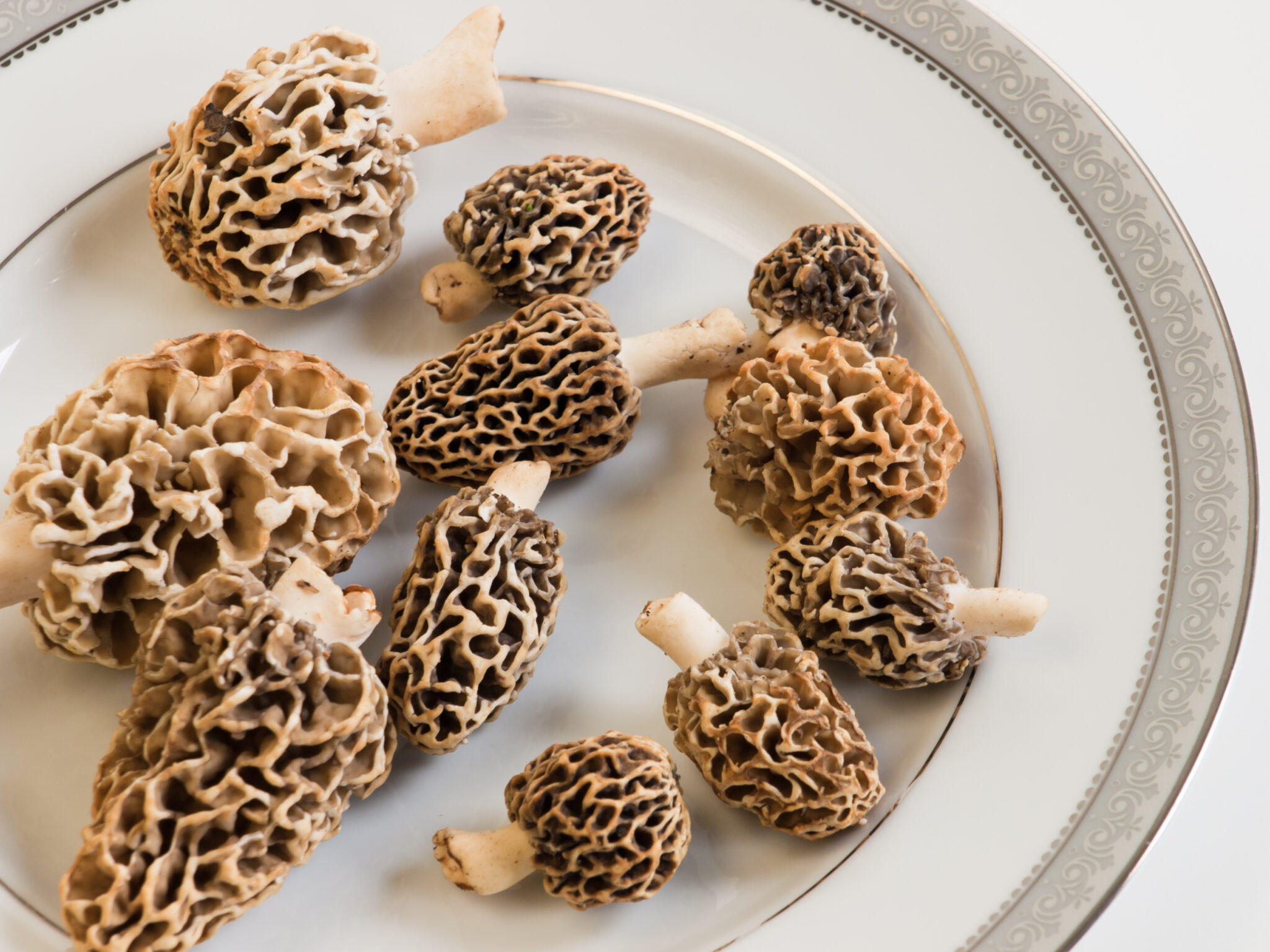 Why Did Dave's Sushi serve the Morel Mushrooms raw?